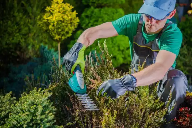 landscaping services Lido Beach